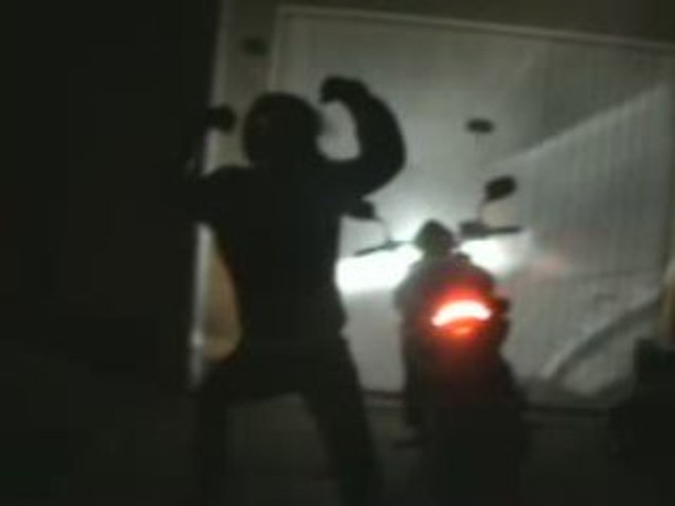 black en 4 pattes 3