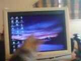 La souris d'ordinateur et le chat, une  histoire d'amour