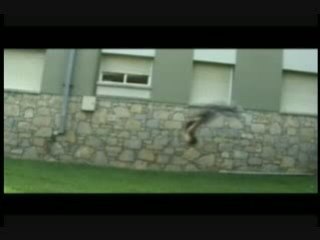 Recopilatorio keke 2008