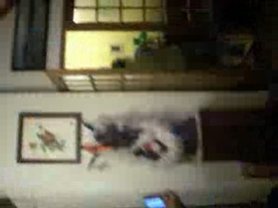 ANNIVERSAIRE SURPRISE