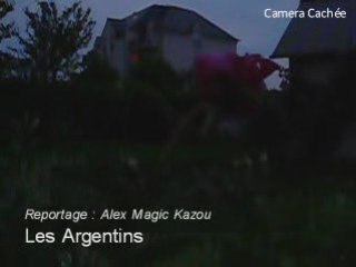 Hippocampe de Troie - Je t'aime quand tu fais caca...