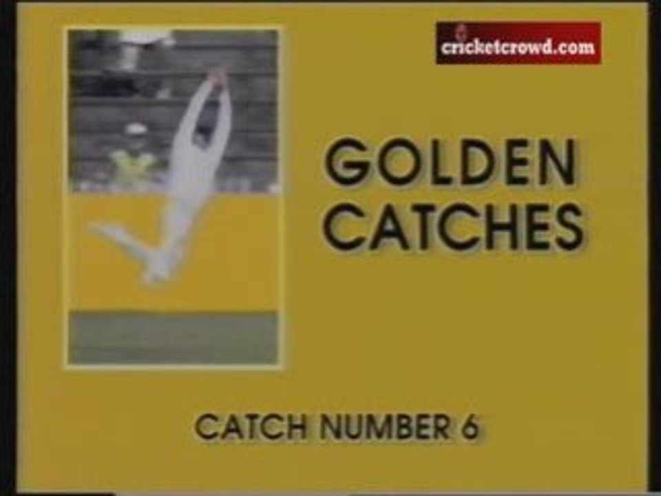 Golden Catches - 1_to_DivX_clip0