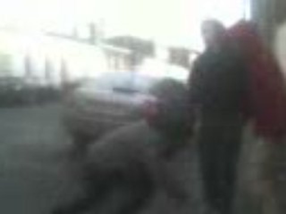 mon couz ossi fé halla cle géne d la famille