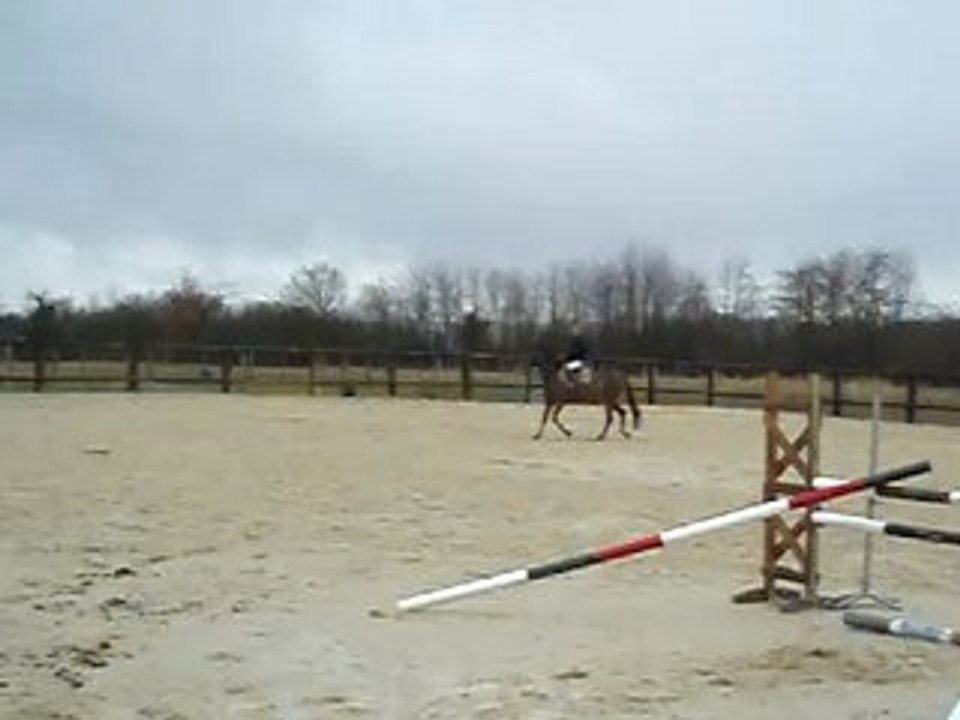 Mamzelle 30-11-08 8