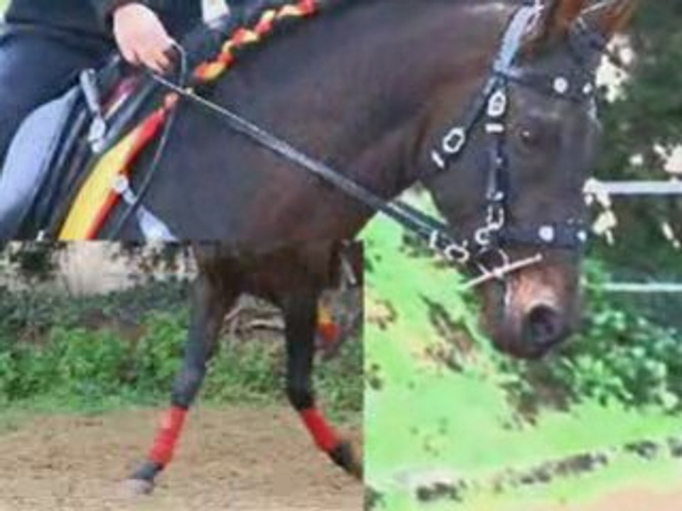 Les porte ouverte