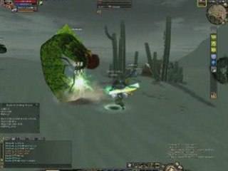 Silkroad Online Int 65 Lv