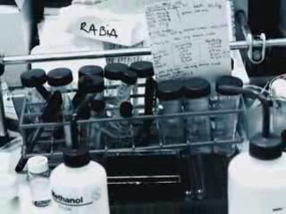 Trailer WE Labo 2008 60mb