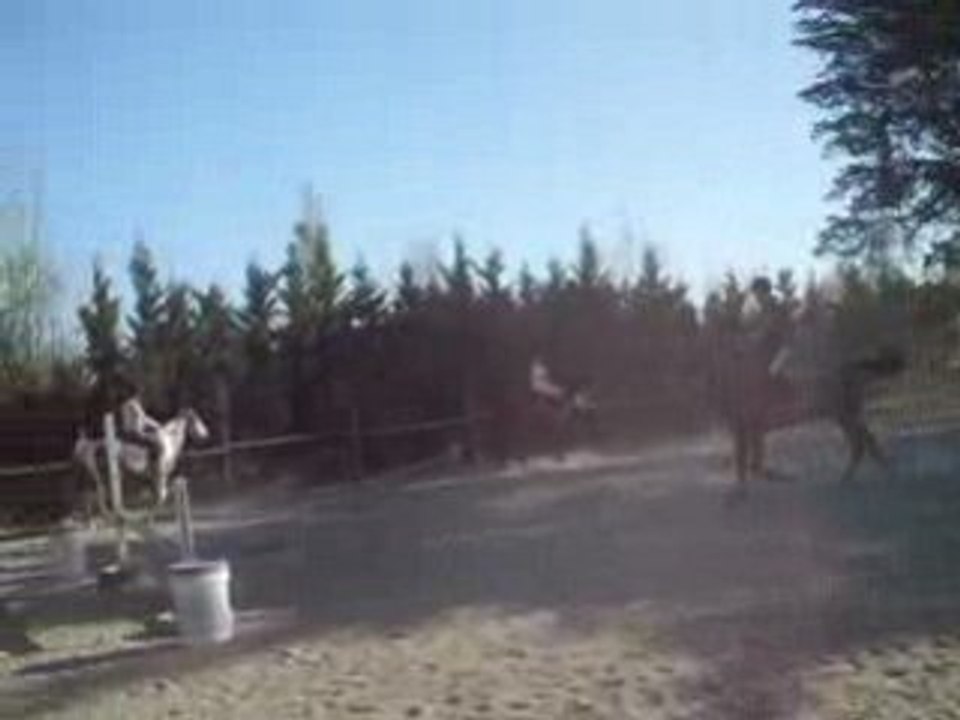 mwa a cheval