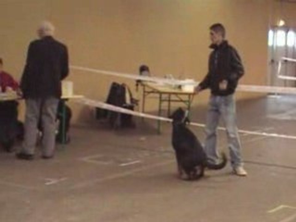 Dyos CACIB Rouen
