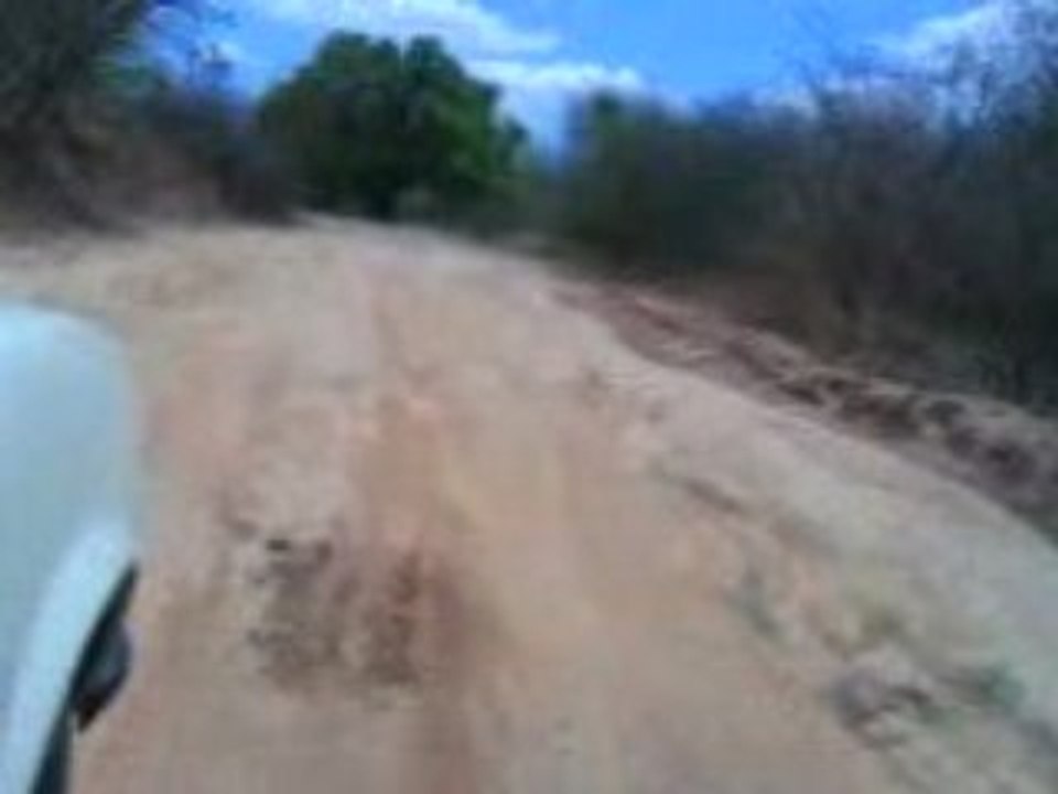 MOV00029
