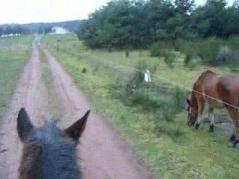 La biche