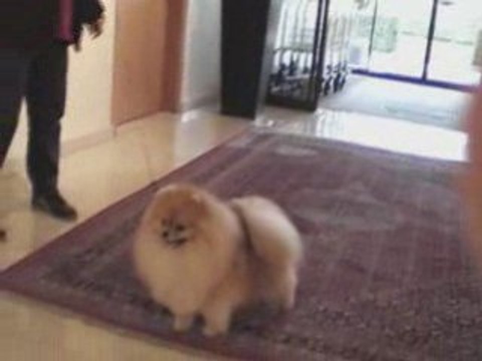 122_hotel