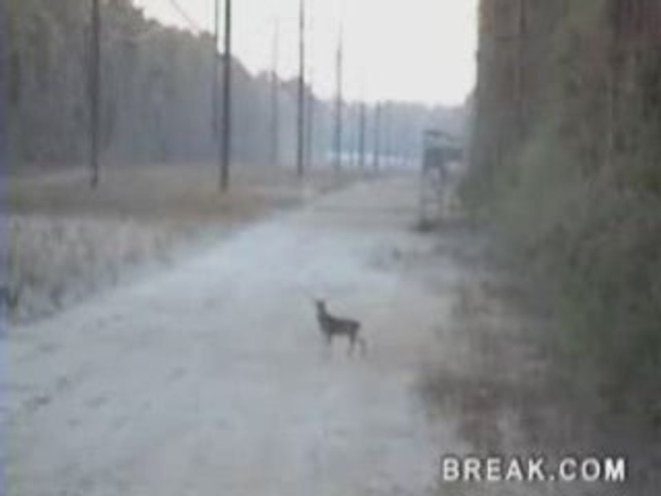 Oulala quelle chasseur!!!