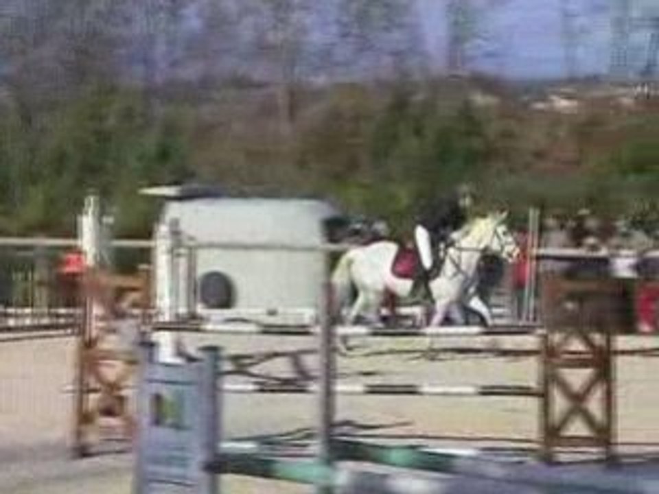 Mascotte D1P 01-12-08