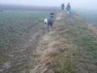 Vanda dans les champs avec Opium et Stito