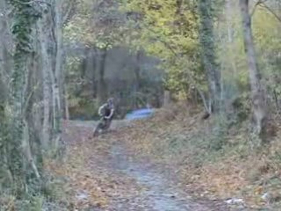 DH au voulliant