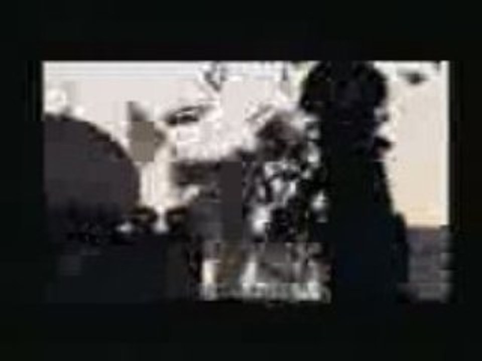 crash d'avion