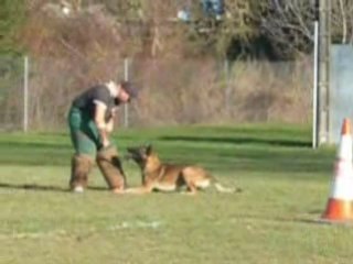 Cisco - GardeA.F. Entraînement Ring Lagord (17) - 07/12/08