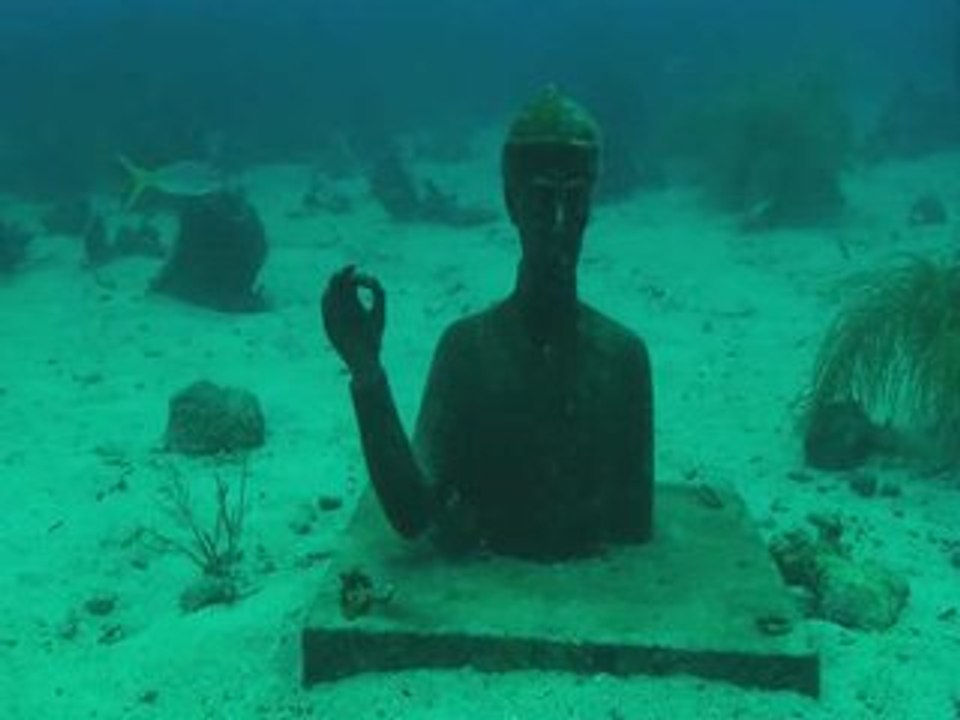 Gwada dive