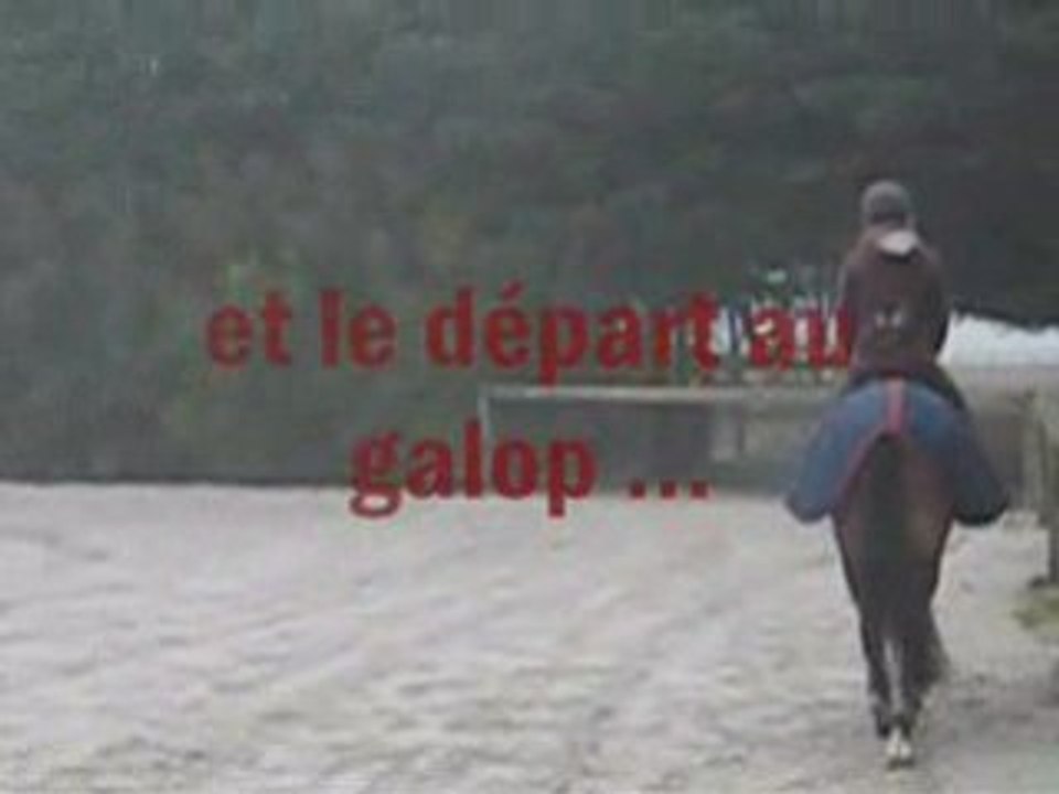 Séance du 07 12 08