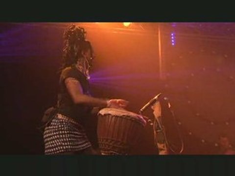 Festival Cité Métisse - Les concerts