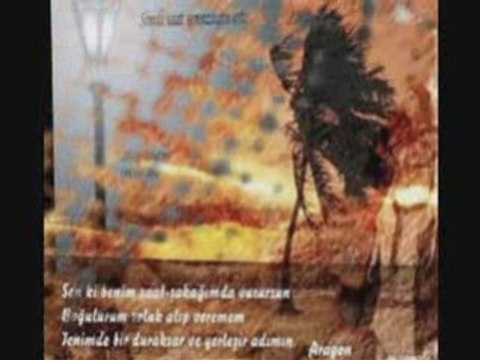 CANINA YANDIGIM, Aykut, Aykut ilteR, eski defter, zuzu, saf