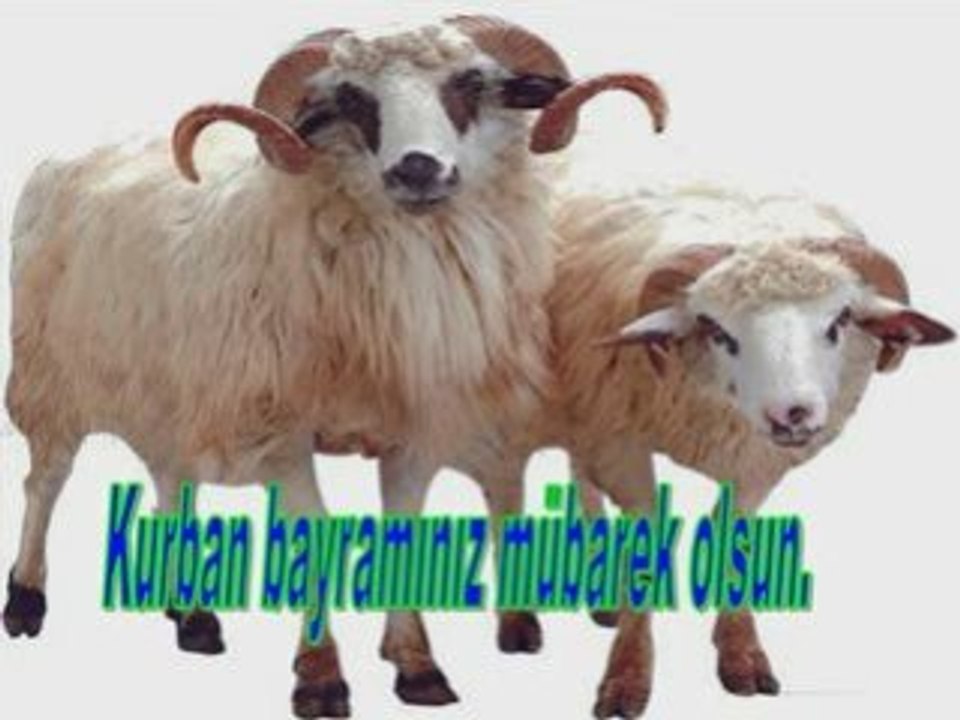 Kurban