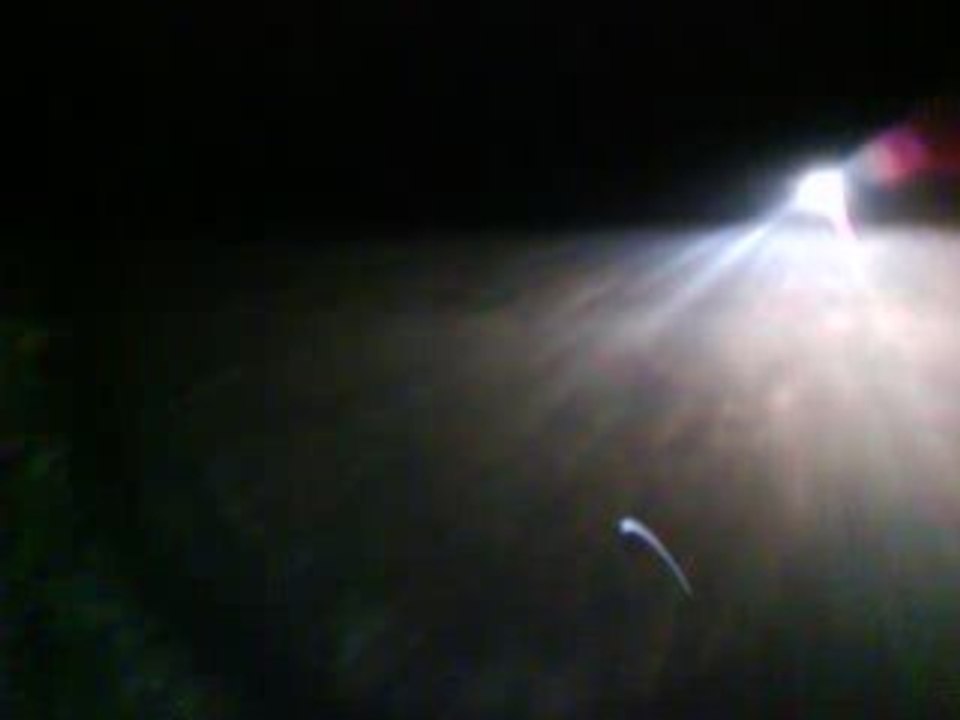 teuf D103 le 06-12-08