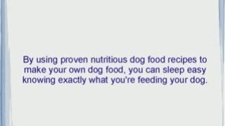 Want To Make Homemade Dog Food For Your Dog?
