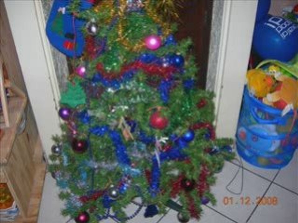 Instalation sapin 2008