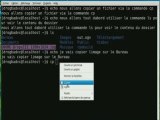 Copier un fichier en console sous gnu/linux