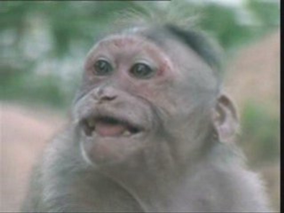 Concours - Vie Privée des Animaux