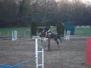 [07-12-2008] Gold et Moi, Vidéo 2ème parcours