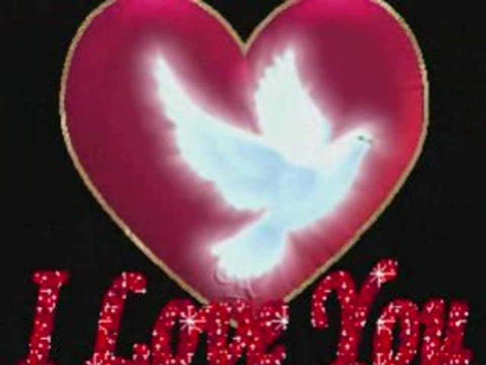 Mon amour jtm ( vidéo )