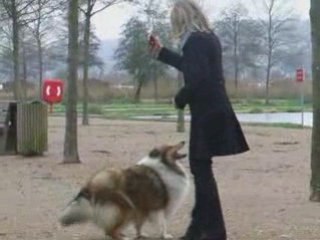 Novembre28 2008 bayron chyara aulnes