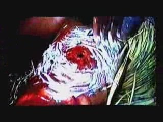 The GUILTY BROTHERS EXPERIENCE - MUSICAL CHAIRS