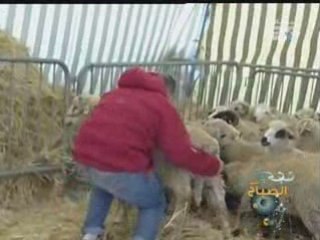 عيد الأضحى..شعائر تحت أعين السلطات