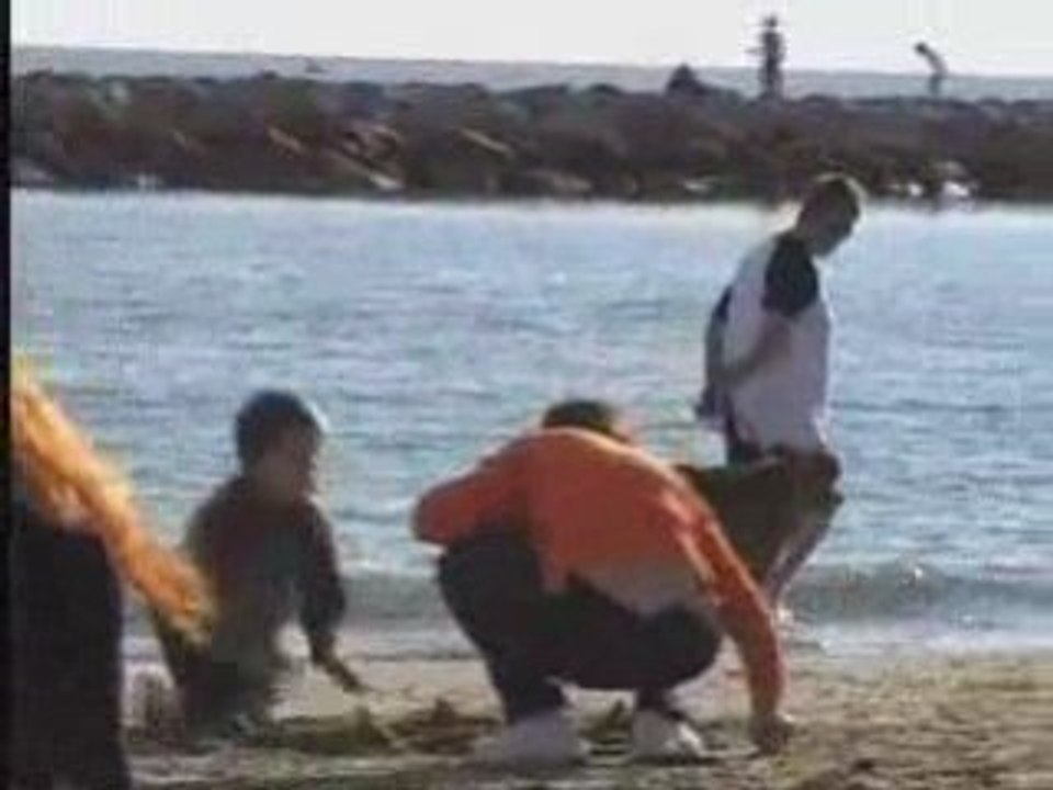 Premiers pas dans l'eau