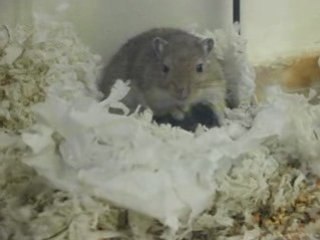 L'heure de la tétée