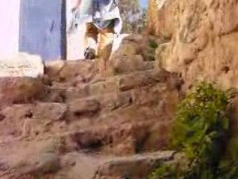 Lost in Hammamet - Tunisia