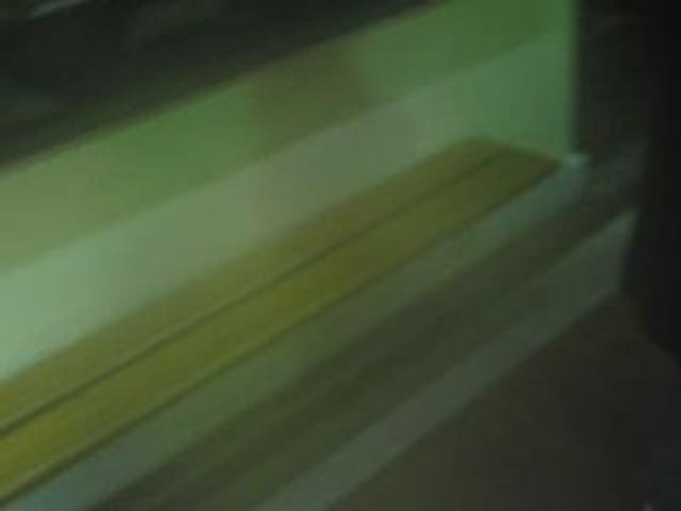 Visite au jardin des plantes - Vive les tortues