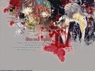 Vampire knight AMV