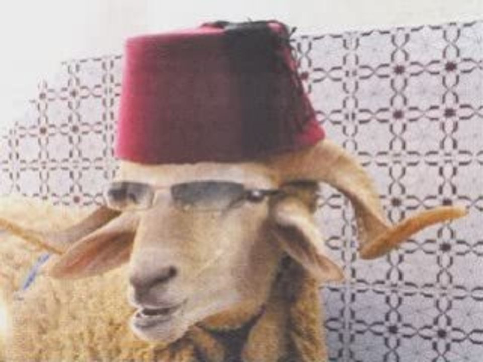 Saha 3idkoum