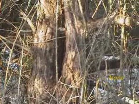 Rallye vhc CANNES-SOLEIL 2008