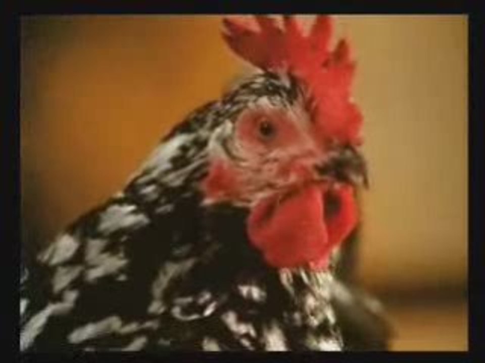 doublage niveau 2 par stefdemonak