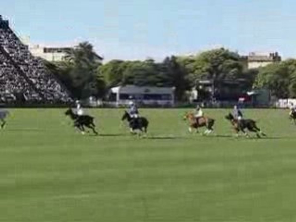 Polo but de la Dolfina !