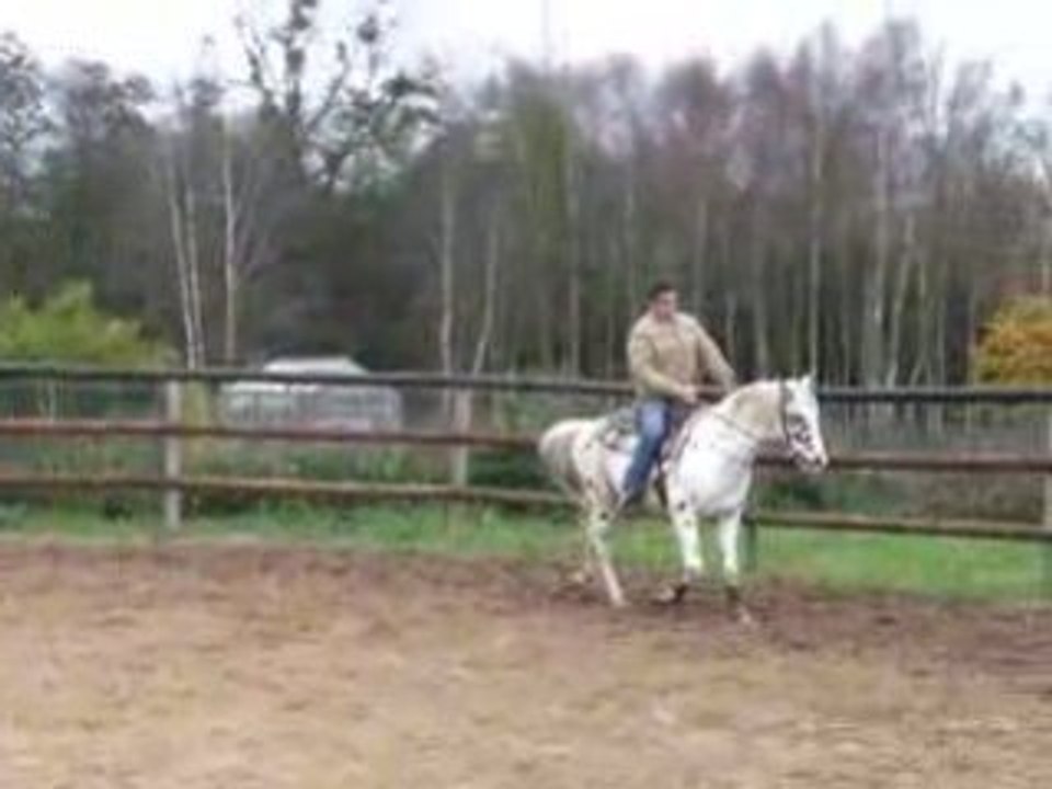 sauk toburu vergnole