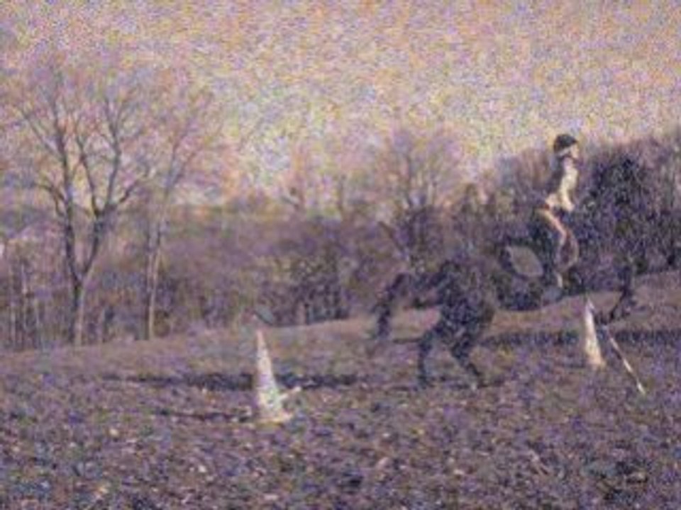 Nos 1er sauts de puce