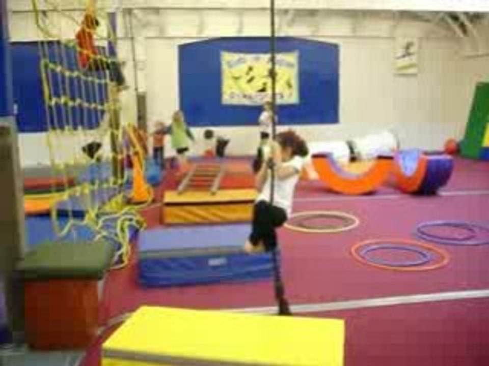 Swinging Monkey