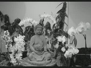 Meilleurs Voeux Blancheurs d'Hiver